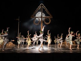 © Leszek Januszewski