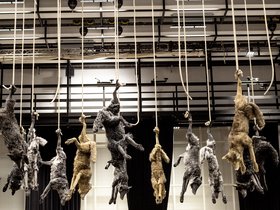 © Staatsoper Unter den Linden Berlin