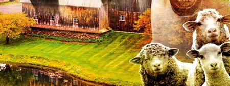 © theater für niedersachsen Hildesheim