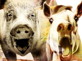 © theater für niedersachsen Hildesheim